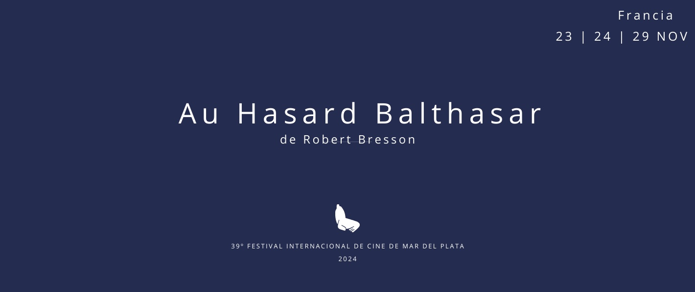 Au Hasard Balthasar, 39° Festival Internacional de Cine Mar del Plata